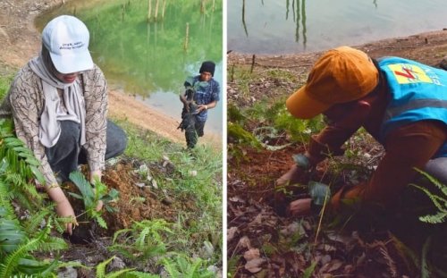 Perwakilan PT PLN Nusantara Power, WWF Indonesia, dan RSF tanam bibit aren unggul di salah satu grid kawasan waduk PLTA Koto Panjang (foto/ist)